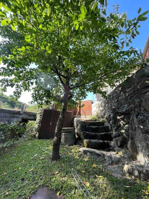 Casa Da Tintim Em Baiao Villa Exterior photo